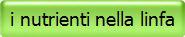 i nutrienti nella linfa